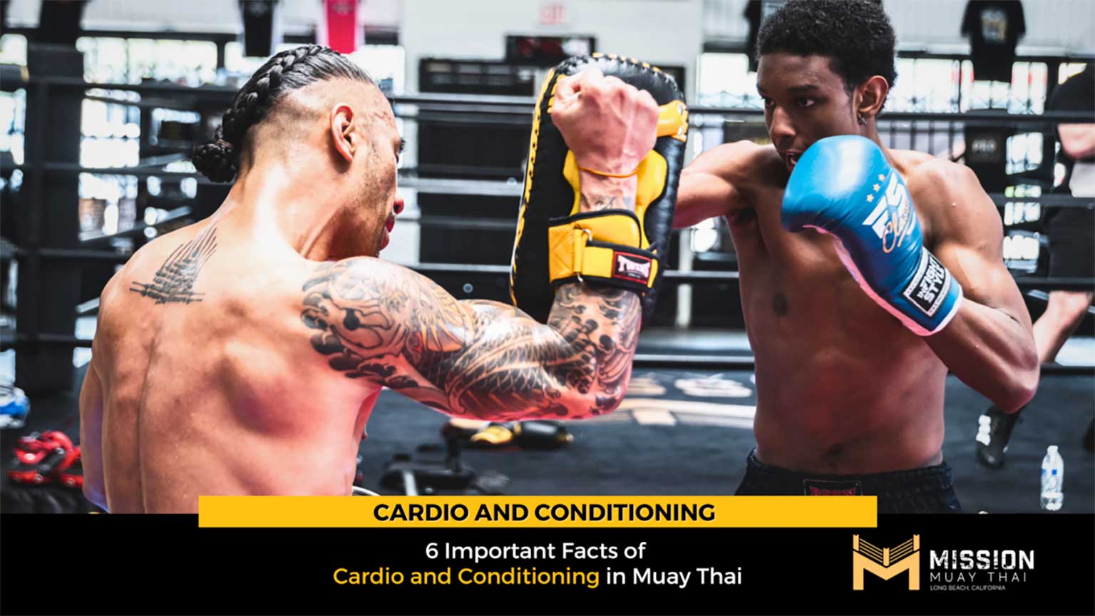 6 Important Facts of Cardio and Conditioning in Muay Thai